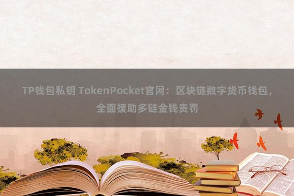 TP钱包私钥 TokenPocket官网：区块链数字货币钱包，全面援助多链金钱责罚