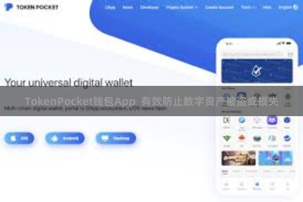 TokenPocket钱包App  有效防止数字资产被盗或损失