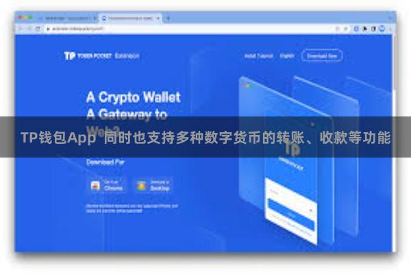 TP钱包App  同时也支持多种数字货币的转账、收款等功能